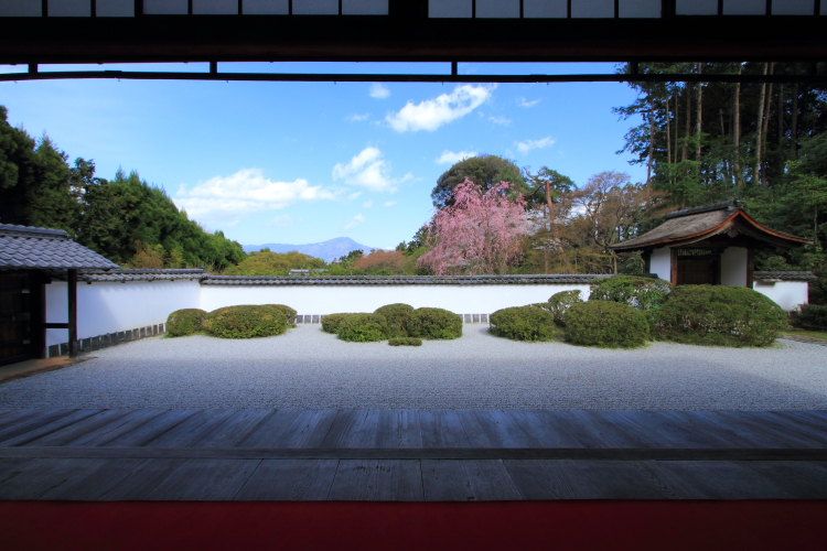 正伝寺_e0051888_2131891.jpg