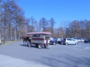e0148889_19402680.jpg