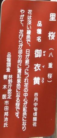 a0055891_13571251.jpg