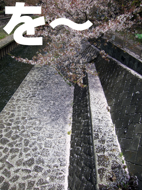 e0176691_1961247.jpg