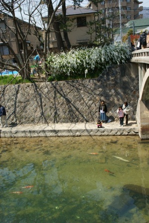 d0181492_03359.jpg