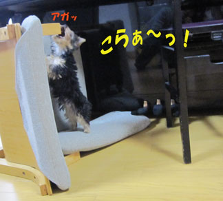 ミトン秘密基地 & スリング♪_e0125894_0171326.jpg