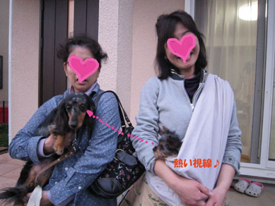 ミトン秘密基地 & スリング♪_e0125894_0335323.jpg
