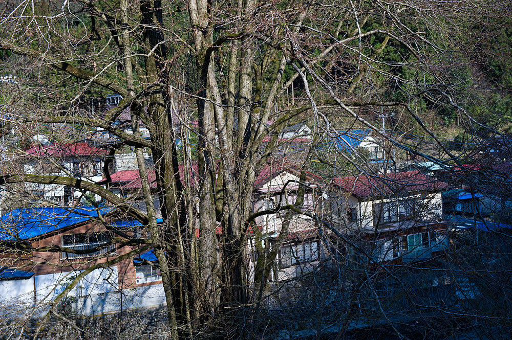 記憶の残像-310　東京都　あきる野市　桧原村_f0215695_18554663.jpg