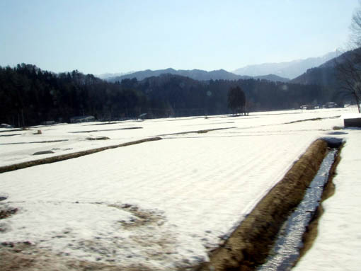 盛岡町家 旧暦の雛祭り その1_f0019498_11243973.jpg