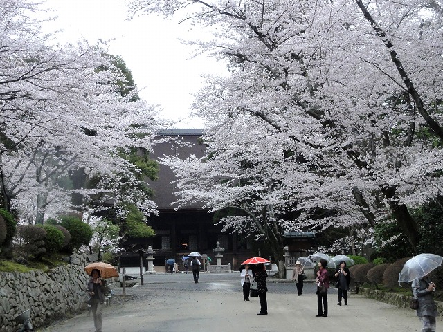 c0125501_018152.jpg