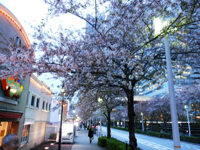 a0075802_23305385.jpg