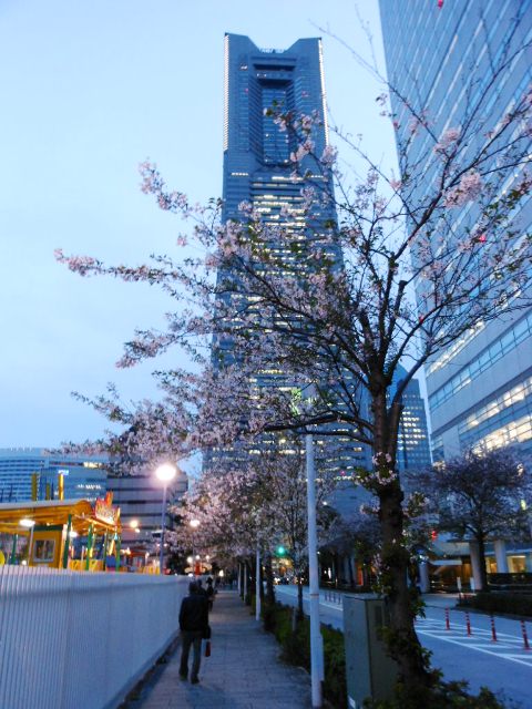 a0075802_2331492.jpg