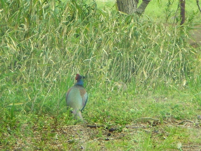 b0147203_2095762.jpg