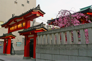a0158805_1172661.png