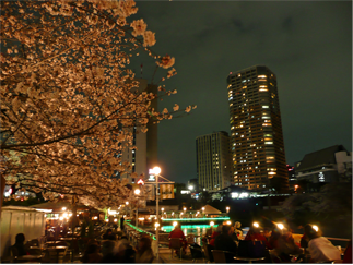 a0158805_1182838.png