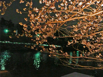 a0158805_1185317.png