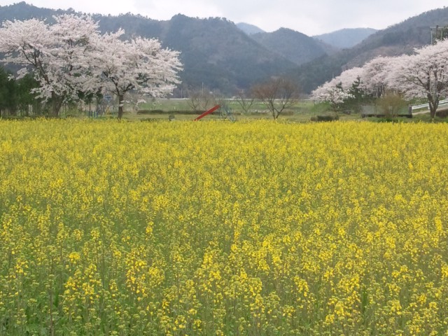 e0252905_14533891.jpg