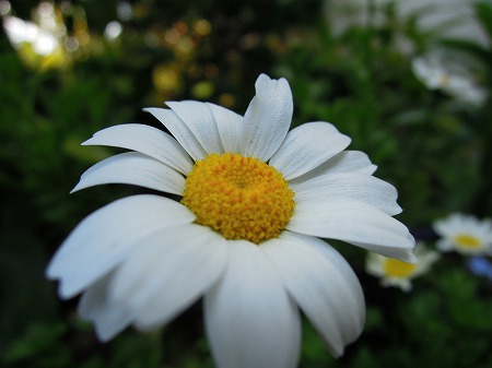 a0041508_2322779.jpg