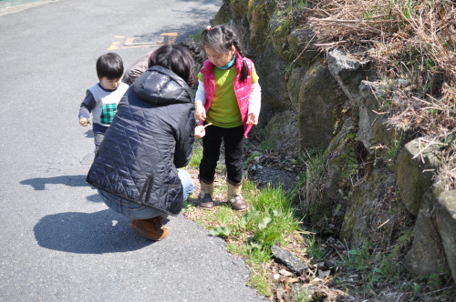 野に咲く花とごはんと_f0188408_13173076.jpg