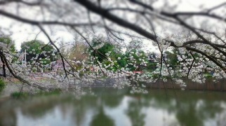 f0128409_0423790.jpg