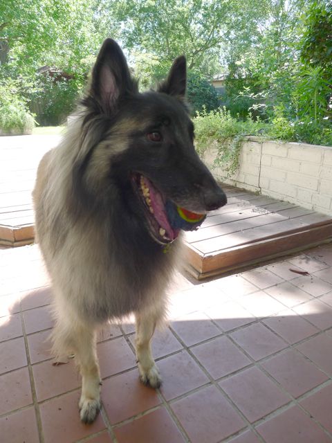 f0227709_2255485.jpg