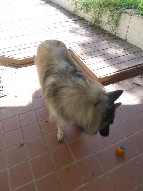 f0227709_2255646.jpg