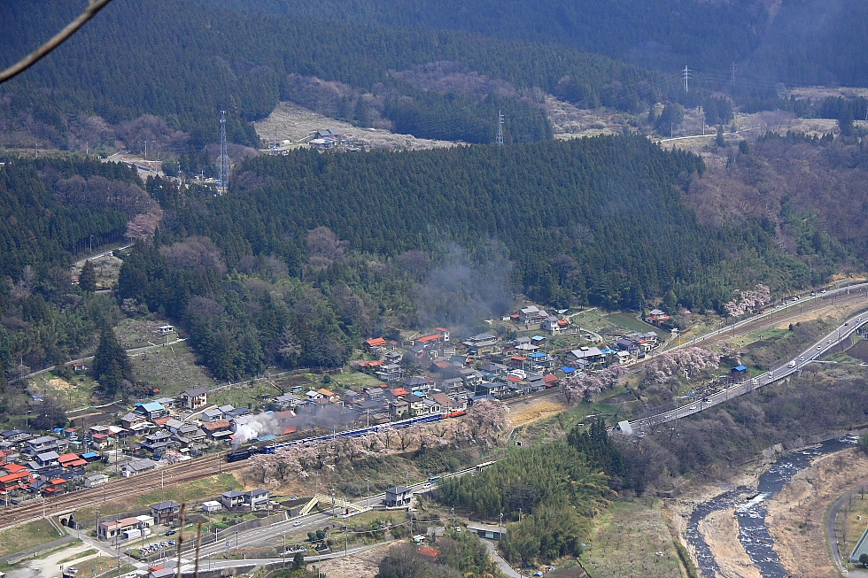 桜並木を抜けて - 2012年・信越線 -_b0190710_2355347.jpg