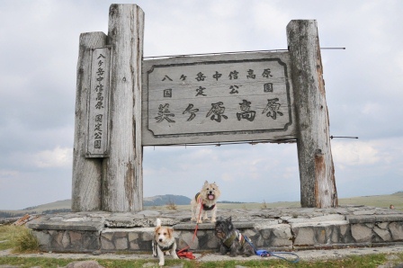 e0078510_0325135.jpg
