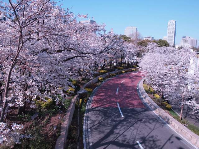 d0178411_20531917.jpg
