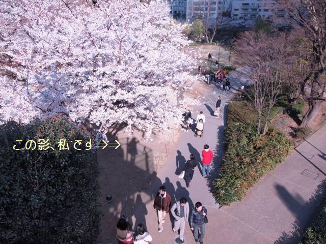 d0178411_21121671.jpg