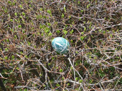 長久保公園でお花見_e0174913_9433042.jpg