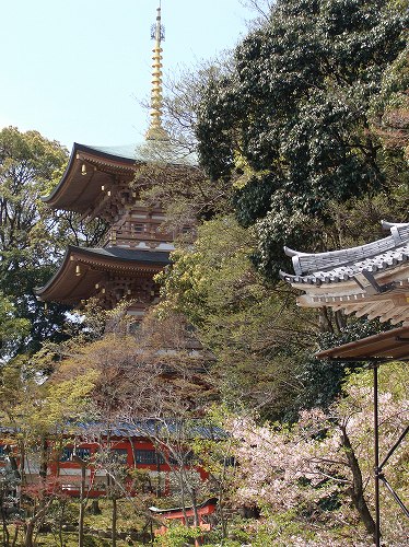 須磨寺で敦盛に会えました!_f0223914_19341179.jpg