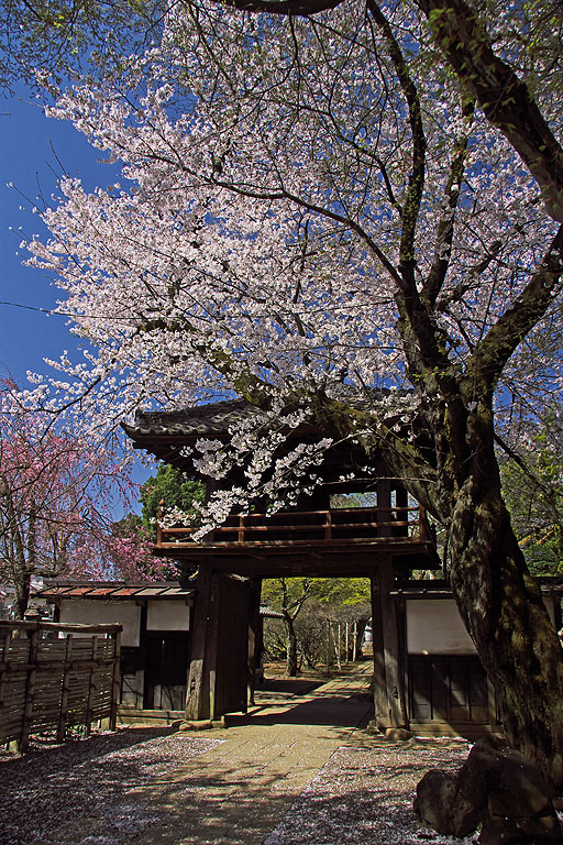 b0010915_21183059.jpg