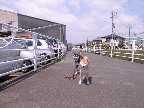 b0225620_6264360.jpg