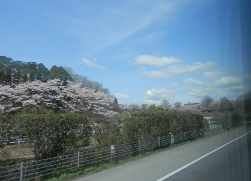 温泉ダンス、楽しかった～_c0145920_10121562.jpg