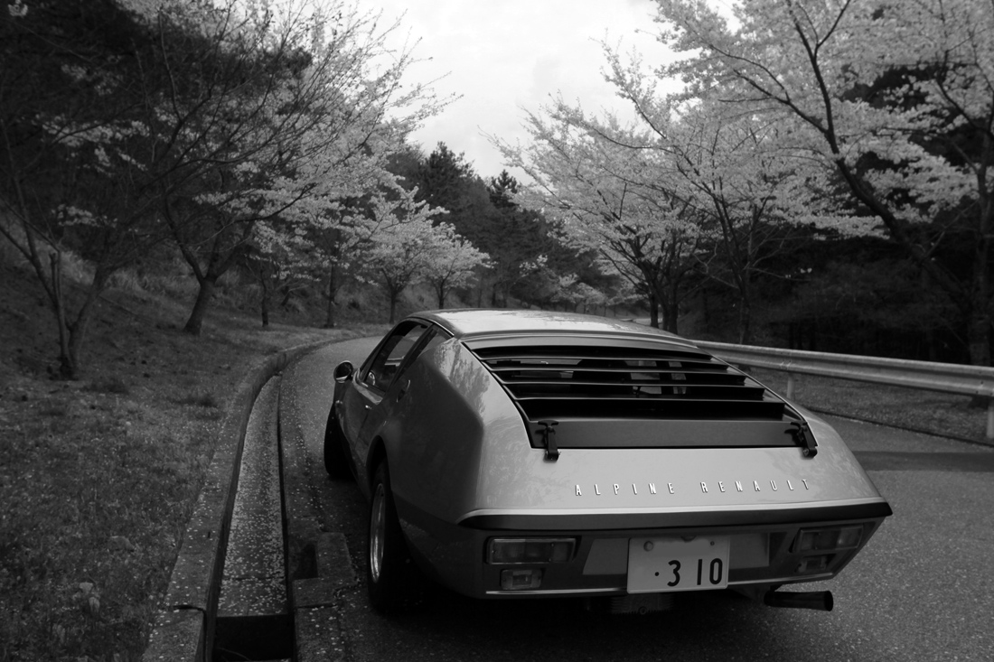 Sakura road_e0190023_23345978.jpg