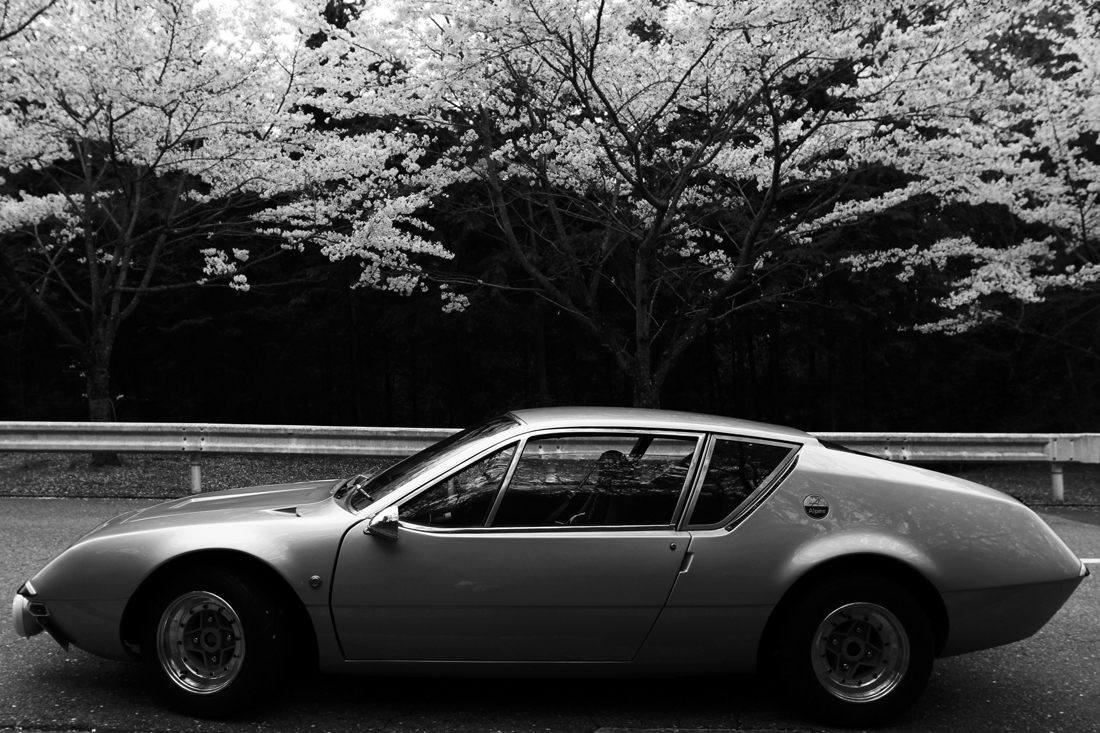 Sakura road_e0190023_23432646.jpg