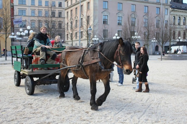 王立公園の中世マーケット　－　Medeltidsmarknad i Kungsträdgården_e0250023_738576.jpg