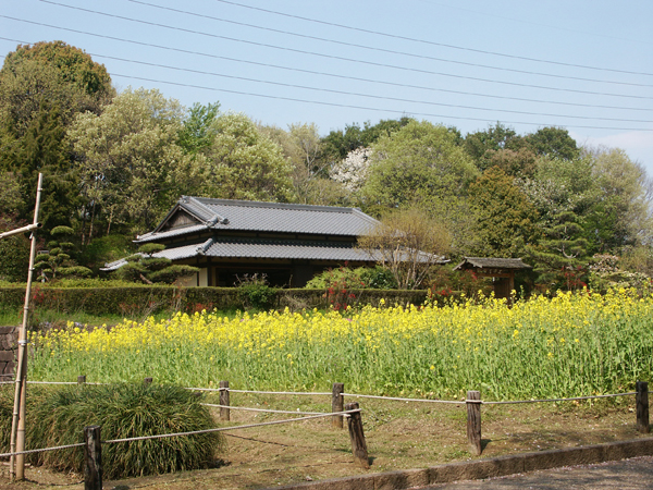 淡彩風景画講座「公園を描く」_b0212226_1343378.jpg