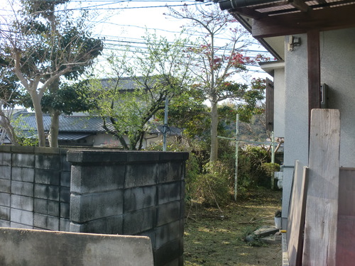 廿日市市 K様邸剪定作業_d0125228_22175212.jpg