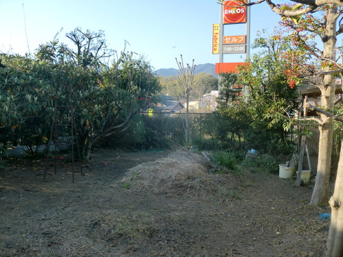 廿日市市 K様邸剪定作業_d0125228_22342364.jpg
