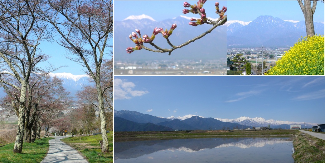 安曇野　池田町桜の名所_a0212730_20552812.jpg