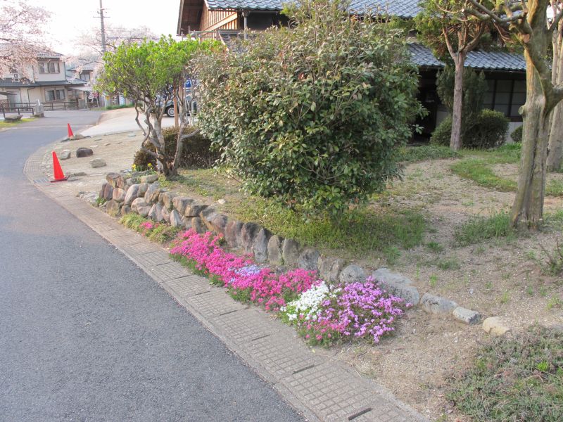 夜桜満開!_f0076731_1933149.jpg