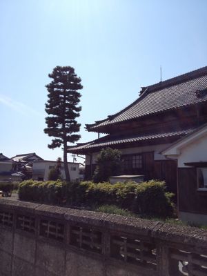e0128732_155512.jpg