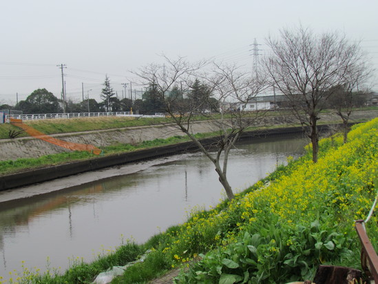 １２．０４．１６（月） 市原スポレクパーク 視察・現地調査 _f0035232_11154953.jpg