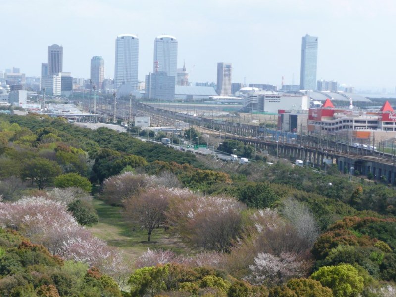 春組フレディ 日暮梨花です 森のチカラで日本を元気に みどりの大使ブログ 春組フレディ 日暮梨花です 森のチカラで日本を元気に みどりの大使ブログ