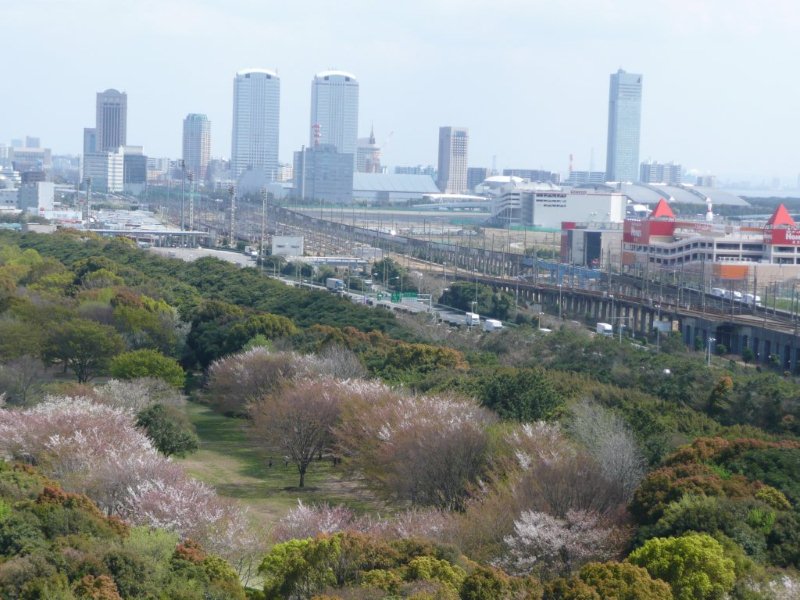 春組フレディ 日暮梨花です 森のチカラで日本を元気に みどりの大使ブログ