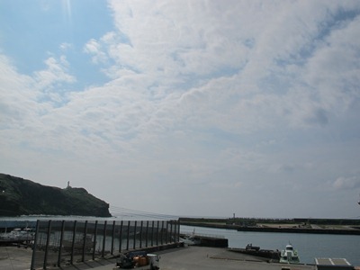 4月 19日 花言葉は…☆_b0158746_1775716.jpg