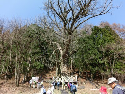 奈良井宿から鳥居峠越え_f0019247_19194172.jpg