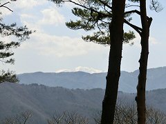 奈良井宿から鳥居峠越え_f0019247_21114438.jpg