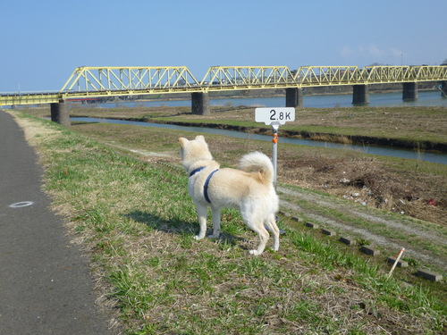 b0238249_19432934.jpg