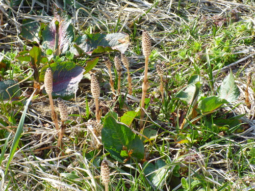 b0238249_19441435.jpg
