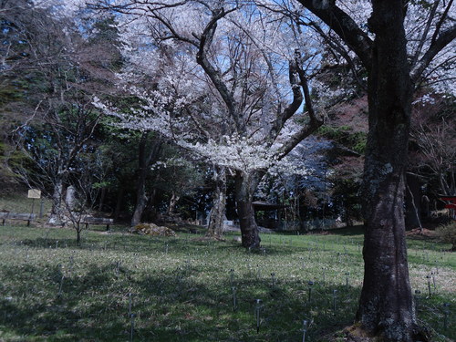 a0055650_18255111.jpg