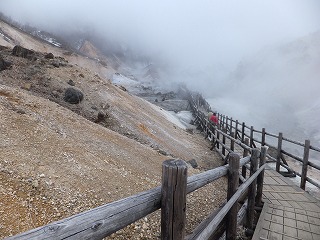 d0048350_21224479.jpg